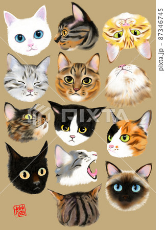 猫 いろいろ 猫 いろいろ 87346745