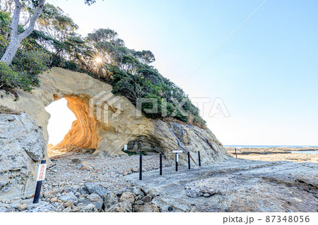 冬の洞山　福岡県遠賀郡 87348056