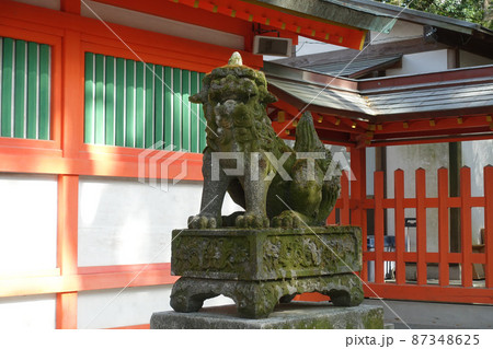 住吉神社の狛犬さん（福岡県福岡市博多） 87348625