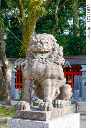 住吉神社の狛犬さん(福岡県福岡市博多) 住吉神社の狛犬さん(福岡県福岡市博多) 87348630