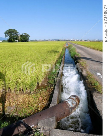 熊本市周辺の田んぼと湧水の水道管　（熊本県） 87348677