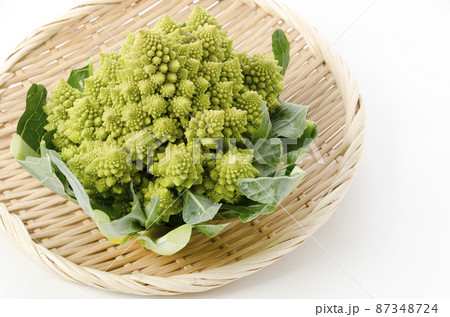 ロマネスコ 87348724