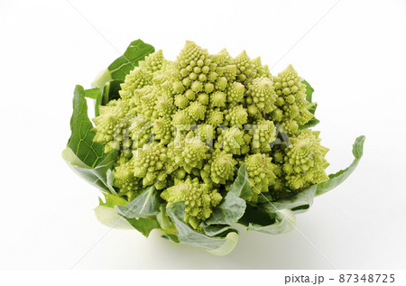 ロマネスコ 87348725