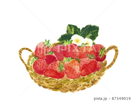 カゴに入れたいちごに花を添えて【手描き水彩画】白バック 透過背景コピースペースあり カゴに入れたいちごに花を添えて【手描き水彩画】白バック 透過背景コピースペースあり 87349019