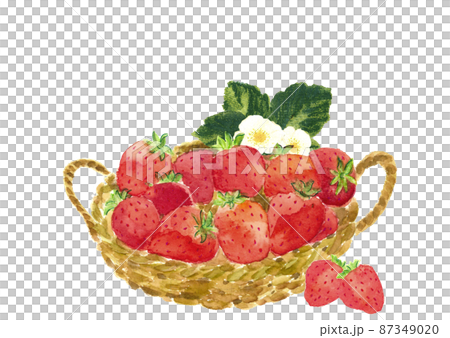 カゴに入れたいちごに花を添えて【手描き水彩画】白バック 透過背景コピースペースあり 87349020