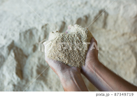 Close up of soy flour in hands of farmer. Feed for cows and calves Close up of soy flour in hands of farmer. Feed for cows and calves 87349719