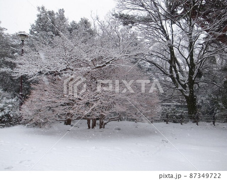 雪景色 雪景色 87349722