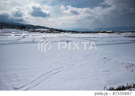 【銀世界】光と陰のコントラスト【松本市中山の水田地帯】 87350887