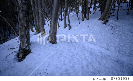 薄暗い雪山・遭難道迷いイメージ 87351953