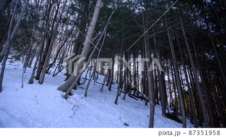 薄暗い雪山・遭難道迷いイメージ 87351958