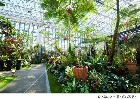 兵庫県 淡路夢舞台公苑温室 あわじグリーン館の写真素材 兵庫県 淡路夢舞台公苑温室 あわじグリーン館の写真素材