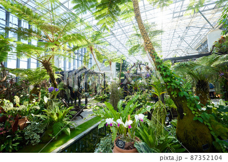 兵庫県 淡路夢舞台公苑温室 あわじグリーン館の写真素材 兵庫県 淡路夢舞台公苑温室 あわじグリーン館の写真素材