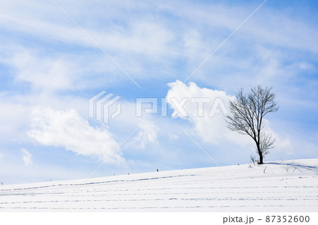 【北海道美瑛町】青空と雲と雪原 87352600