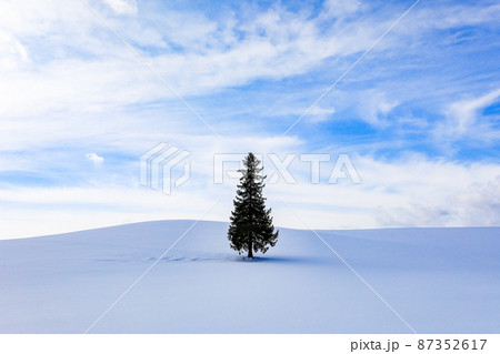 【北海道美瑛町】青空と雲とクリスマスツリーの木 87352617