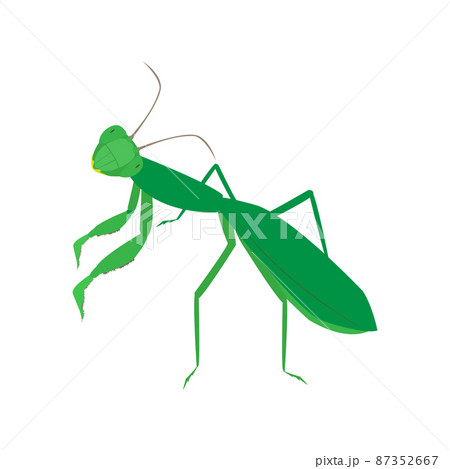 横向きのカマキリのイラスト素材