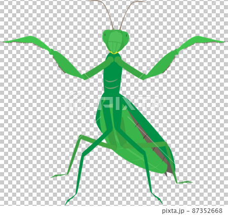 威脅螳螂 威脅螳螂 87352668