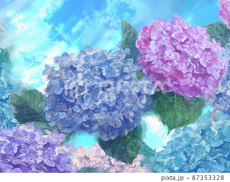 水彩画淡い色の紫陽花たちの手描きイラストのイラスト素材 [87353328