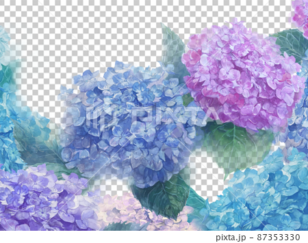 水彩画淡い色の紫陽花たちの手描きイラストのイラスト素材
