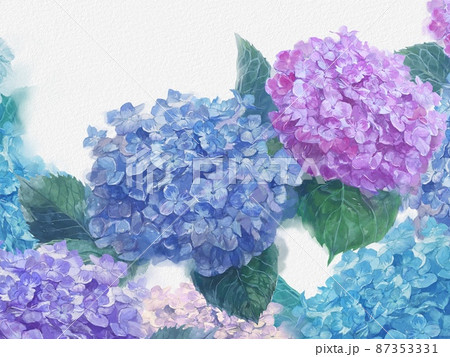 水彩画淡い色の紫陽花たちの手描きイラストのイラスト素材