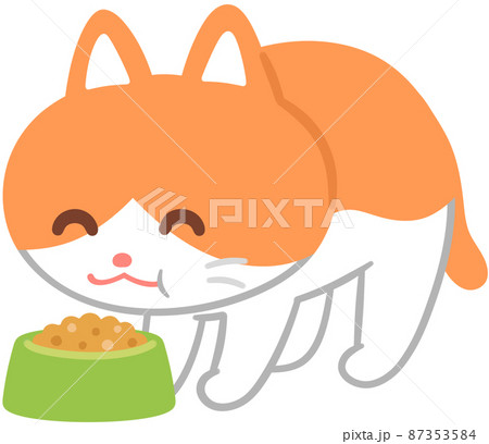 フードを食べる猫 87353584