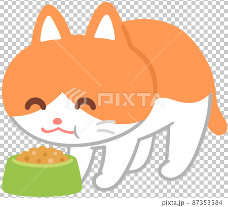 貓吃東西 87353584