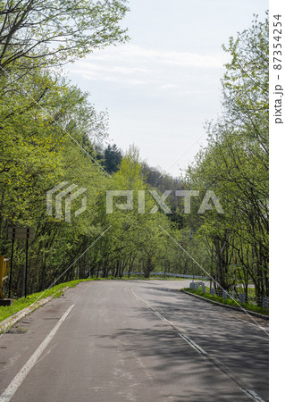 新緑の森を通る道路 87354254