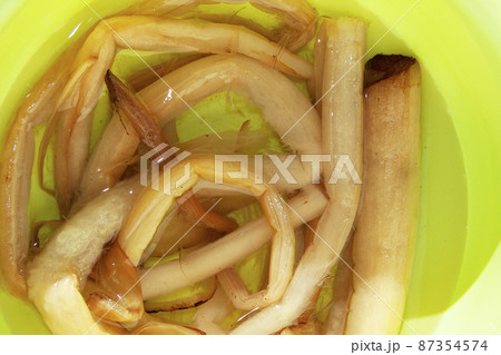 水で戻した干しずいき（あく抜き） 87354574