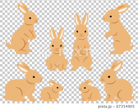 Brown rabbit illustration set 87354905