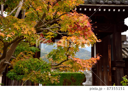 橘寺境内の紅葉 87355151