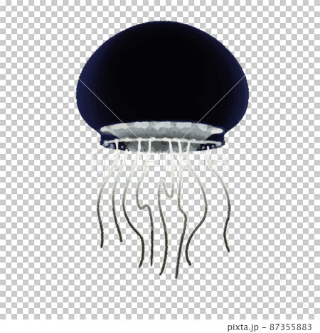 青白く発光するオワンクラゲ 87355883