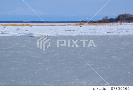 凍結した濤沸湖 北海道 凍結した濤沸湖 北海道 87356560