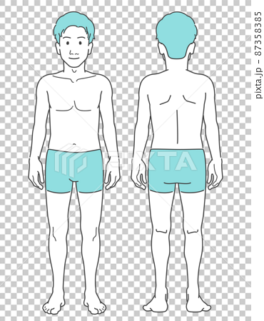 男性 若い スリム 全身 体型 前後 正面 背面 線画 シンプル セット  87358385