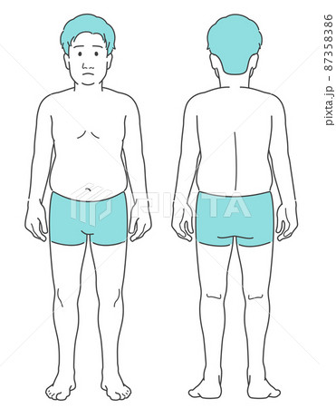 男性 若い 全身 体型 ぽっちゃり メタボ 前後 正面 背面 線画 シンプル セット 87358386