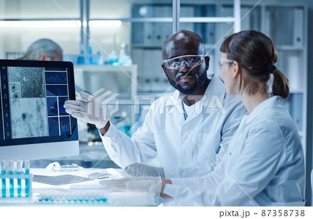Diverse couple of scientists discussing image of bacterium on computer monitor together sitting at table 87358738