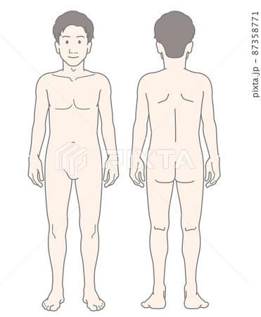 男性 若い 細身 スリム 全身 裸体 ヌード 前後 セット イラスト 87358771