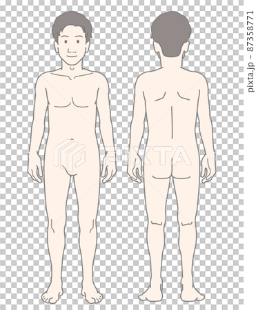 男性 若い 細身 スリム 全身 裸体 ヌード 前後 セット イラスト 87358771