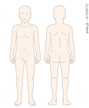 男性 若い 細身 スリム 全身 裸体 ヌード 頭髪なし 前後 セット イラスト 87358772
