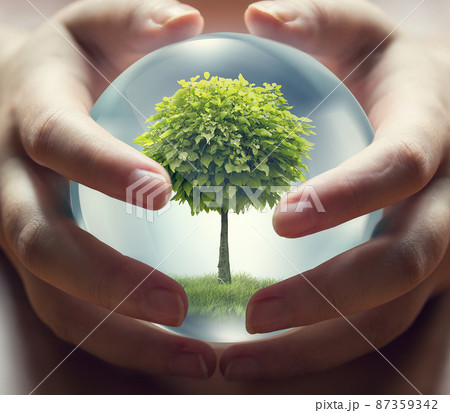human hands holding a small tree human hands holding a small tree 87359342