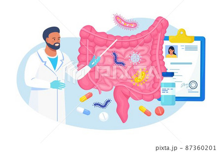 Gut microorganisms, friendly flora, gastrointestinal microbes Abstract digestive stomach living organisms for healthy life. Doctor examining gastrointestinal tract, bowel, digestive system, intestine Gut microorganisms, friendly flora, gastrointestinal microbes Abstract digestive stomach living organisms for healthy life. Doctor examining gastrointestinal tract, bowel, digestive system, intestine 87360201