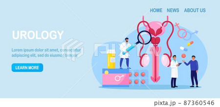 Urology concept. Urologist examining male reproductive system. Kidney and bladder treatment, hospital care. Doctors diagnosis sexually transmitted, venereal diseases. Bacterial infection 87360546