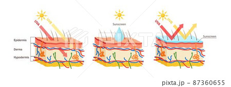UV protection. Sunscreen lotion protect human skin from UVA, UVB ray 87360655