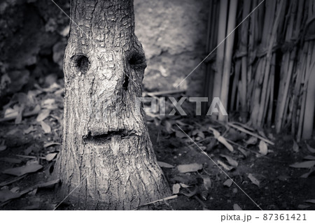 Tree stem that looks like a crying face Tree stem that looks like a crying face 87361421