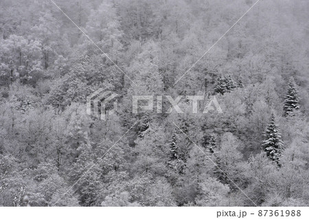 Winter panorama, Frozen trees, France, Ariege, Mountains Pyrenees Winter panorama, Frozen trees, France, Ariege, Mountains Pyrenees 87361988