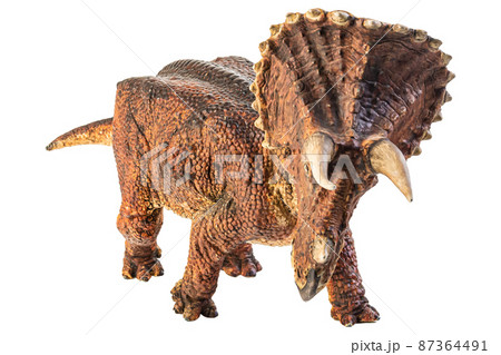 Triceratops , dinosaur on white background . Triceratops , dinosaur on white background . 87364491