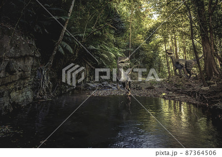 Velociraptor Dinosaur  in the  forest . 87364506