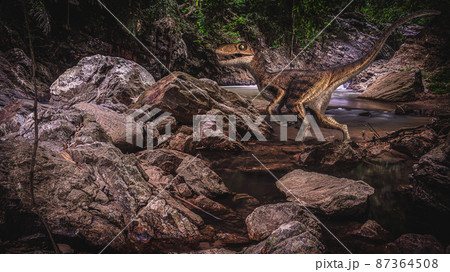 Velociraptor Dinosaur  in the  forest . 87364508
