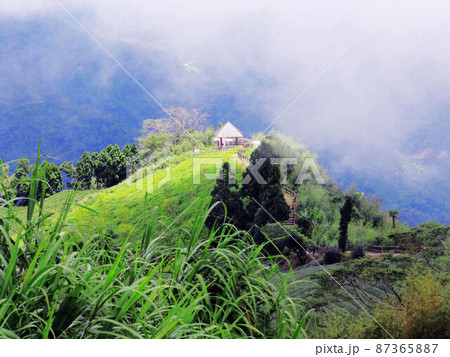 阿里山 南投 玉山 87365887