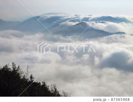 阿里山 南投 玉山 87365908