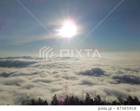阿里山 南投 玉山 87365916