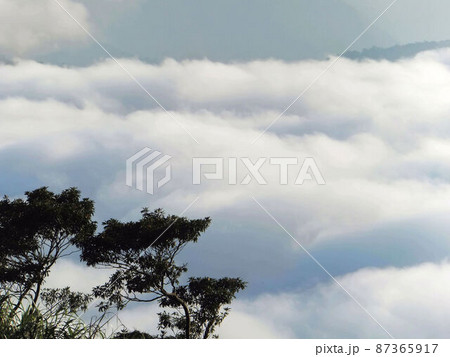 阿里山 南投 玉山 87365917